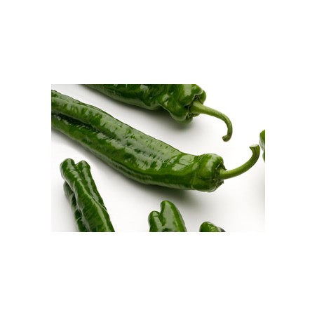 PIMIENTO VERDE RAMIRO
