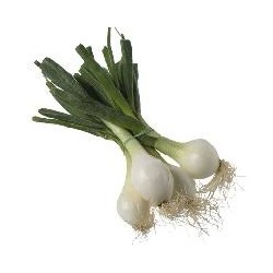 CEBOLLA TIERNA (MANOJO)
