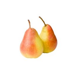 PERA ERCOLINI BIO