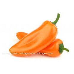 PIMIENTO SWEET BITE BIO