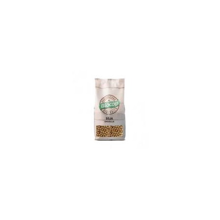 SOJA AMARILLA 500G BIOCOP