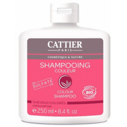 CHAMPU COLOR CABELLO TEÐIDO 250 ml
