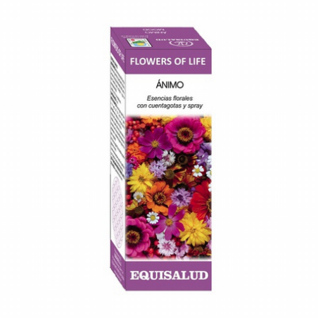 FLOR SENTIDO DE LA VIDA 15ML EQUISALUD