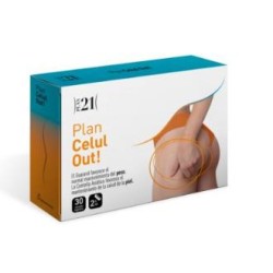 PLAN CELELOUT 30CAP PLAMECA