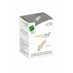 CONDROARTIL 90 CAPS 100%NAURAL