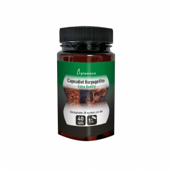 CAPSUDIET HARPAGOFITO 40CAPS PLAMECA
