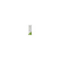 RAVINTSARA 10ML TERPENIC