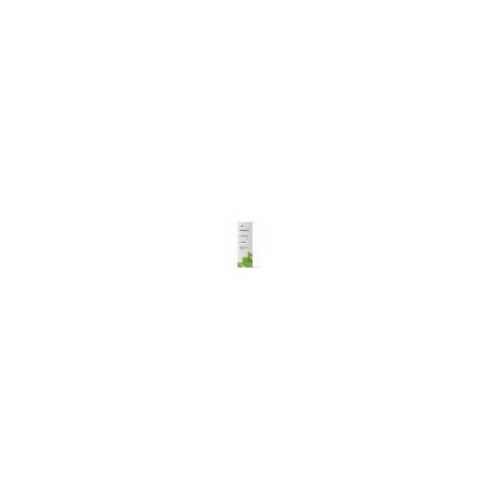 RAVINTSARA 10ML TERPENIC