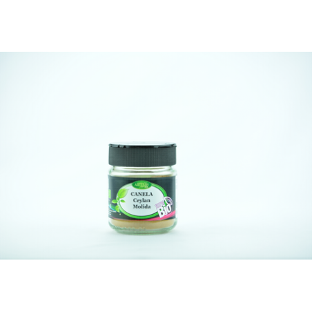 TARRO GRANDE CANELA 70G ARTEMIS