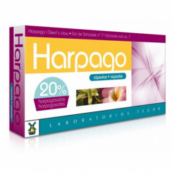 HARPAGO 40CAPS TEGOR