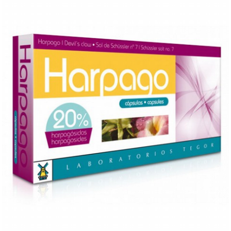 HARPAGO 40CAPS TEGOR