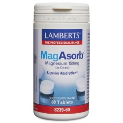 MAGASORB 60 TAB LAMBERTS