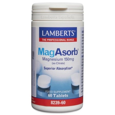 MAGASORB 60 TAB LAMBERTS