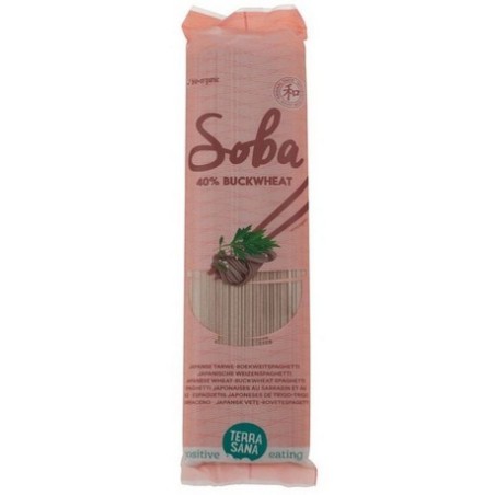 NOODLE 40% TRIGO SARRACENO 250GR TERRASANA