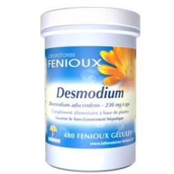 DESMODIUM  480 CAPSULAS FENIOUX