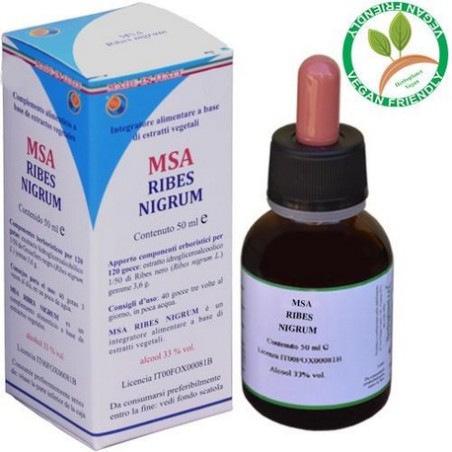 MSA RIBES NIGRUM 50ML HERBOPLANET