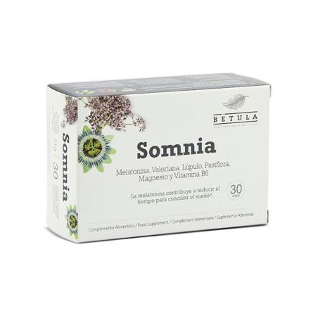 SOMNIA 30cap BETULA