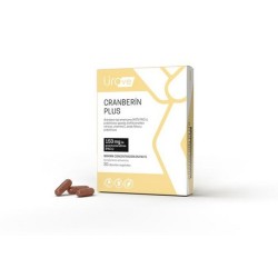 CRANBERIN PLUS