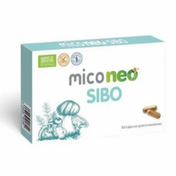 MICO NEO SIBO 60caps
