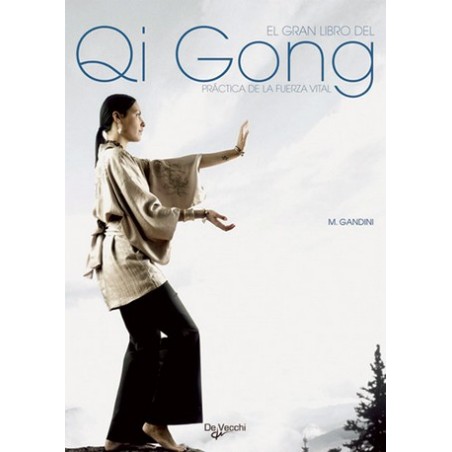 EL GRAN LIBRO DEL QHI GONG