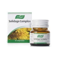 SOLIDAGO COMPLEX 60COMP A VOGUEL