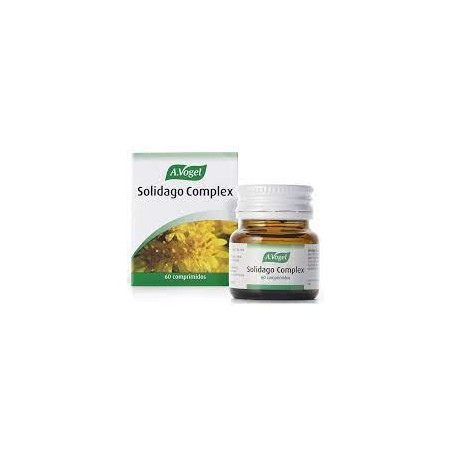 SOLIDAGO COMPLEX 60COMP A VOGUEL