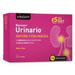 BIENESTAR URINARIO 10 SOBRES VITALART