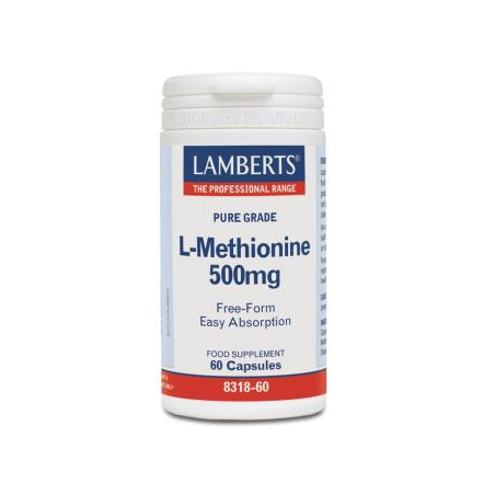 L METIONINA 500MG 60CAPS