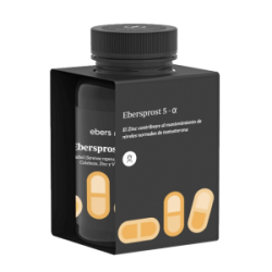 EBERSPROST 5