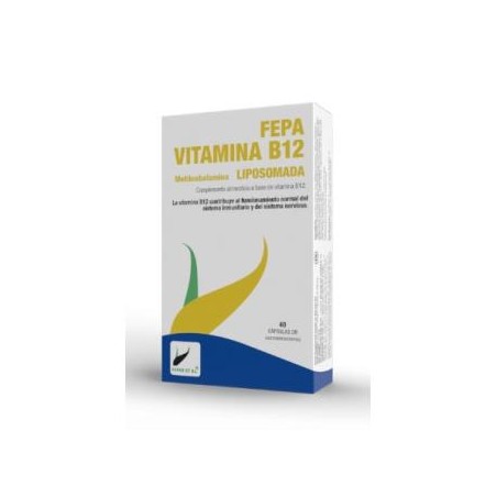 FEPA VIT. B12 LIPOSOMADA 40CAP - FEPADIET
