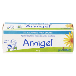 ARNICA GEL 45  gr