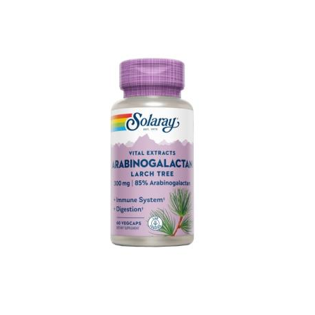 ARABINOGALACTANO 60CAPS SOLARAY
