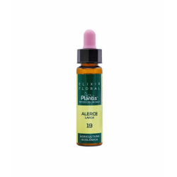 ALERCE-19 ELIXIR FLORAL ECO S/A 10 ML