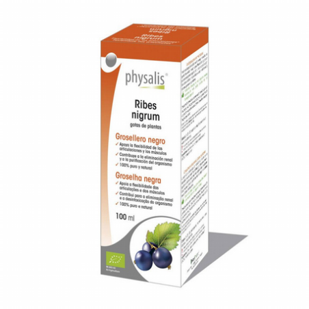 RIBES NIGRUM (GROSELLERO NEGRO) 100 ml
