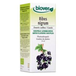 RIBES NIGRUM 50 ml GROSELLERO NEGRO BIOVER