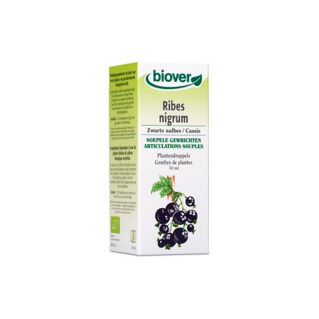 RIBES NIGRUM 50 ml GROSELLERO NEGRO BIOVER