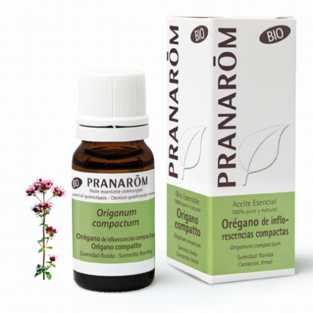 OREGANO DE INFLORESCENCIAS COMPACTAS 10 ml PRANAROM