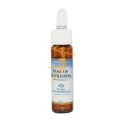 STAR OF BETHLEHEM (Estrella de Belen 10ml FIORI MEDITERRANEI