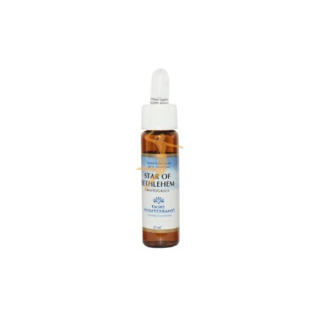 STAR OF BETHLEHEM (Estrella de Belen 10ml FIORI MEDITERRANEI