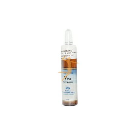 VINE (Vid) 10ml FIORI DEL MEDITERRANEO
