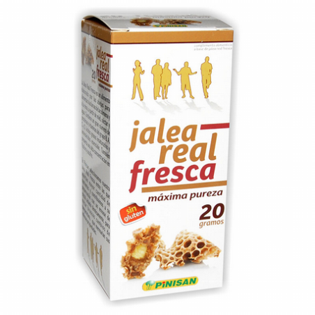 JALEA REAL FRESCA 20G PINISAN