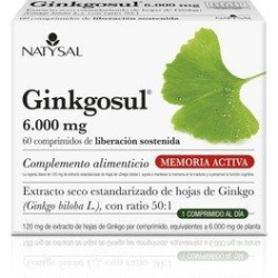 GINKGOSUL 60CP NATYSAL