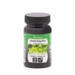 GINKGO BILOBA 40 APSULAS
