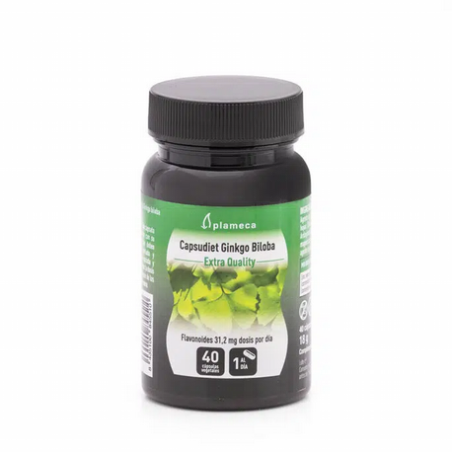 GINKGO BILOBA 40 APSULAS