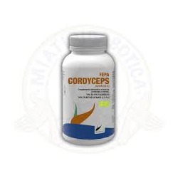 FEPA CORDYCEPS FEPADIT