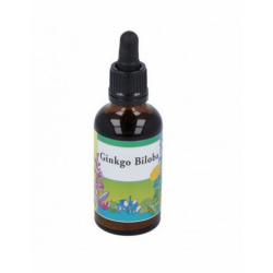 EXTRACTO GINKGO BILOBA