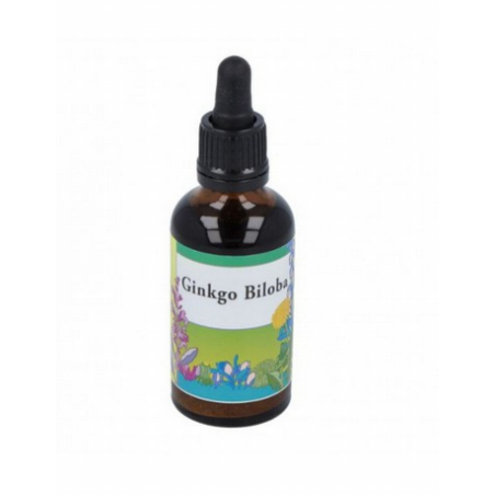 EXTRACTO GINKGO BILOBA