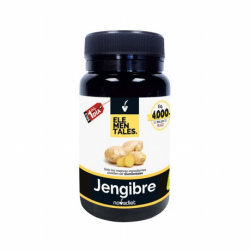 JENGIBRE