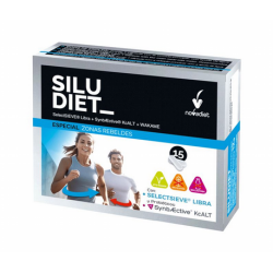 SILUDIET
