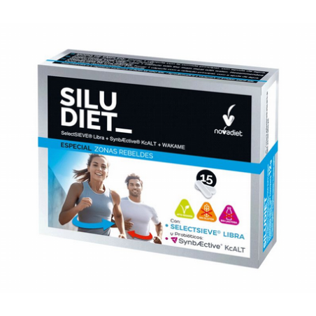 SILUDIET